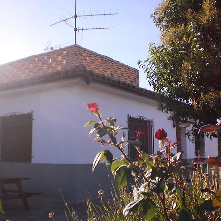 Casa Los Olivos Grávalos Kültér fotó