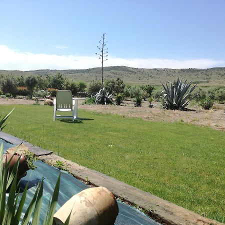 Casa Los Olivos Grávalos Kültér fotó