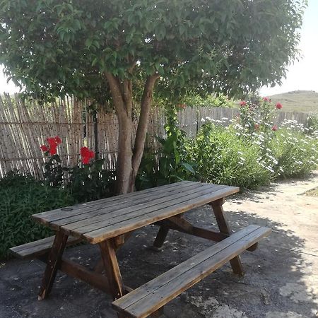 Casa Los Olivos Grávalos Kültér fotó