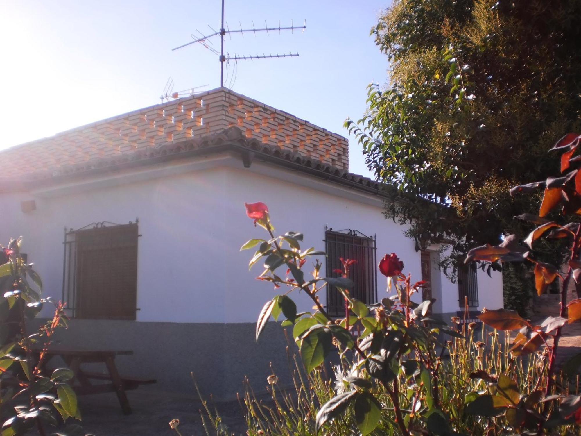 Casa Los Olivos Grávalos Kültér fotó