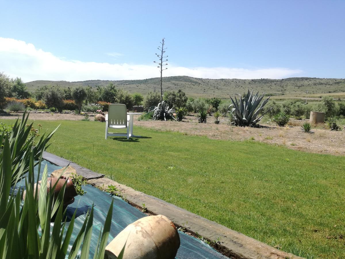 Casa Los Olivos Grávalos Kültér fotó