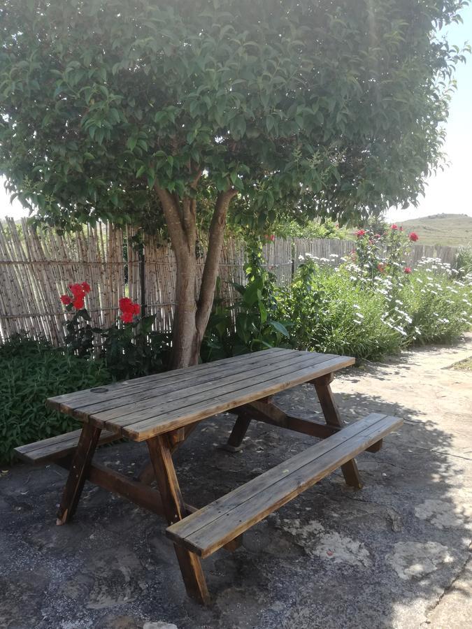 Casa Los Olivos Grávalos Kültér fotó